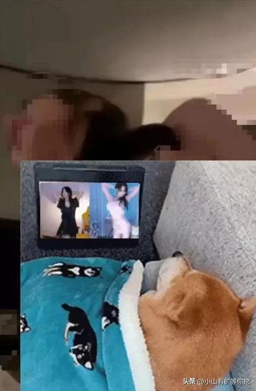 唐山爆料小伙事件视频最新